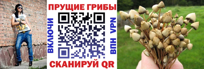 где купить наркоту  Лангепас  Галлюциногенные грибы ЛСД 