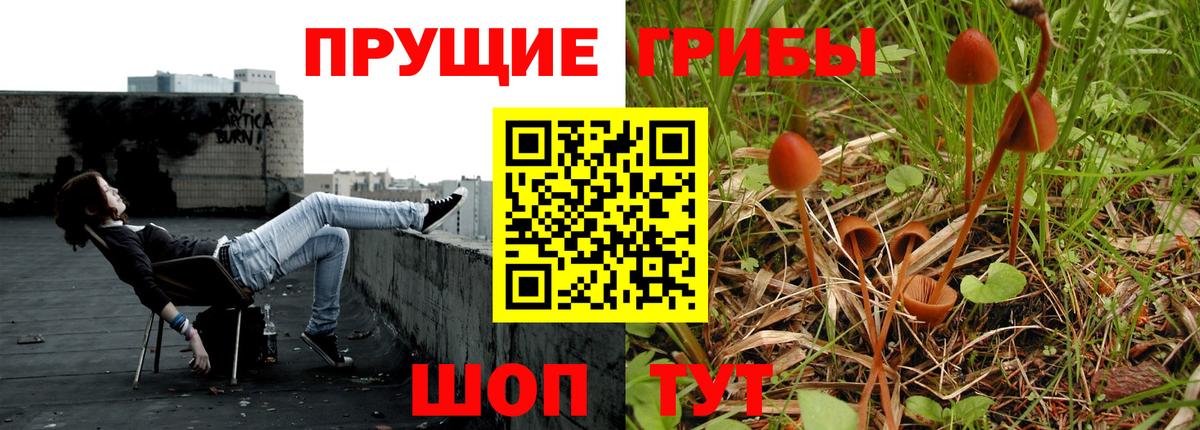 Галлюциногенные грибы GOLDEN TEACHER Лангепас