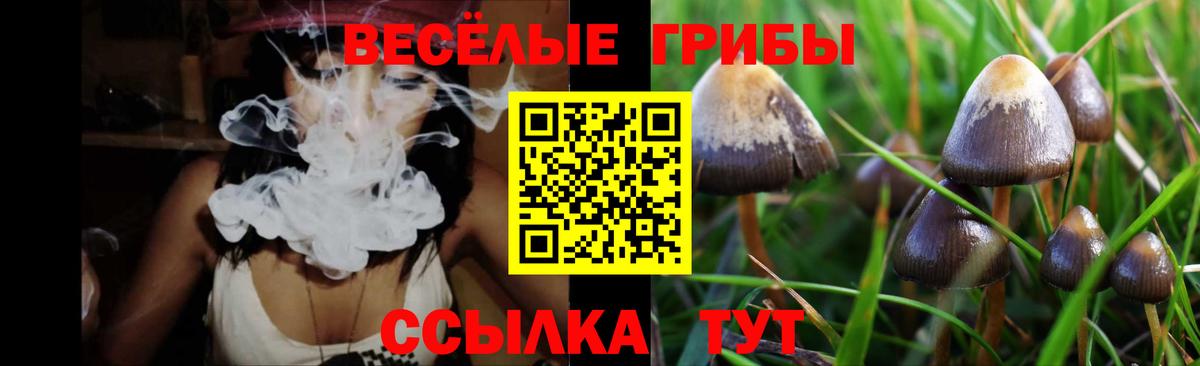 Галлюциногенные грибы прущие грибы  Вход с VPN  Лангепас  Галлюциногенные грибы прущие грибы 